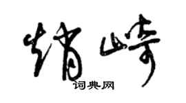 曾慶福趙崎草書個性簽名怎么寫