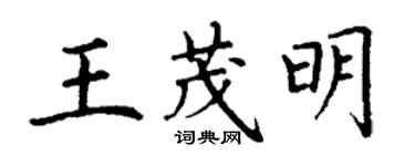 丁謙王茂明楷書個性簽名怎么寫