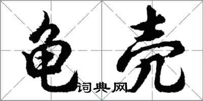 胡問遂龜殼行書怎么寫