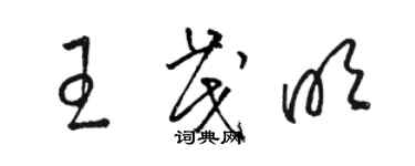 駱恆光王茂明草書個性簽名怎么寫