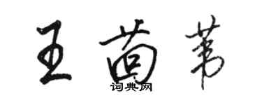 駱恆光王茴葦行書個性簽名怎么寫