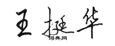 駱恆光王挺華行書個性簽名怎么寫