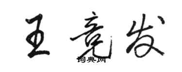 駱恆光王競發行書個性簽名怎么寫
