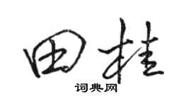 駱恆光田桂行書個性簽名怎么寫