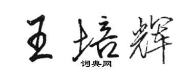 駱恆光王培輝行書個性簽名怎么寫