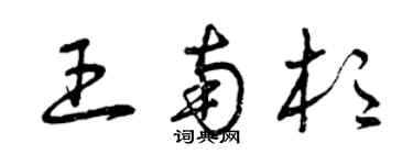 曾慶福王南杉草書個性簽名怎么寫