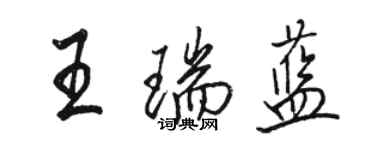 駱恆光王瑞藍行書個性簽名怎么寫