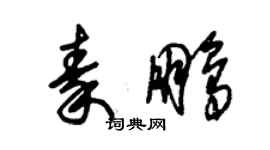 朱錫榮秦鵬草書個性簽名怎么寫