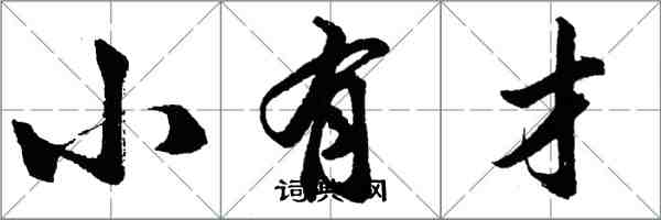 胡問遂小有才行書怎么寫