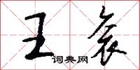 王袞怎么寫好看