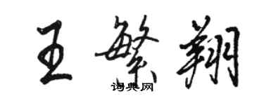 駱恆光王繁翔行書個性簽名怎么寫