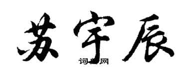 胡問遂蘇宇辰行書個性簽名怎么寫