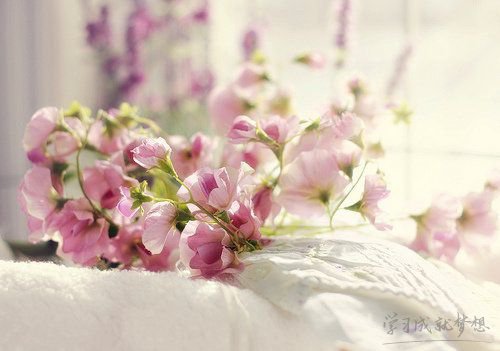 努力奮鬥的短語句子