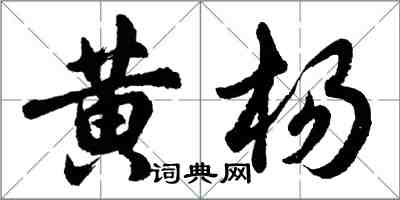 胡問遂黃楊行書怎么寫