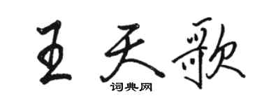 駱恆光王天歌行書個性簽名怎么寫