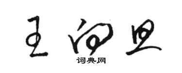 駱恆光王向旦草書個性簽名怎么寫