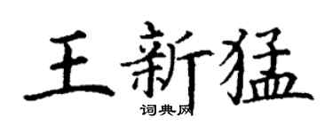丁謙王新猛楷書個性簽名怎么寫