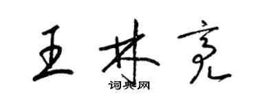 梁錦英王林亮草書個性簽名怎么寫