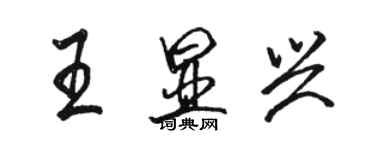 駱恆光王顯興行書個性簽名怎么寫