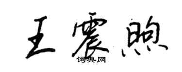 王正良王震煦行書個性簽名怎么寫