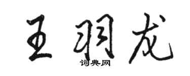 駱恆光王羽龍行書個性簽名怎么寫