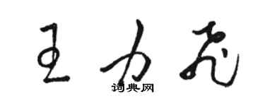 駱恆光王力飛草書個性簽名怎么寫