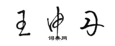 駱恆光王申丹草書個性簽名怎么寫