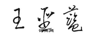 駱恆光王聖藍草書個性簽名怎么寫