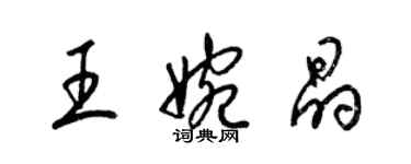 梁錦英王婉晶草書個性簽名怎么寫