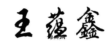 胡問遂王蘊鑫行書個性簽名怎么寫