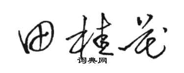 駱恆光田桂花草書個性簽名怎么寫