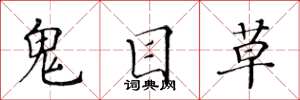 黃華生鬼目草楷書怎么寫