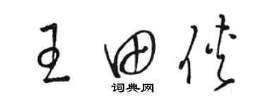 駱恆光王田俠草書個性簽名怎么寫