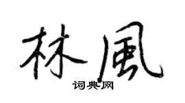 王正良林風行書個性簽名怎么寫