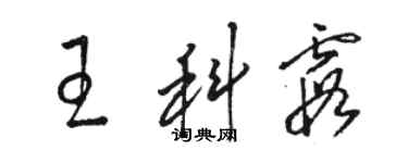 駱恆光王科霞草書個性簽名怎么寫