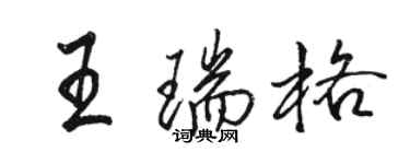 駱恆光王瑞格行書個性簽名怎么寫