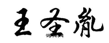 胡問遂王聖胤行書個性簽名怎么寫