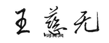 駱恆光王慈無行書個性簽名怎么寫