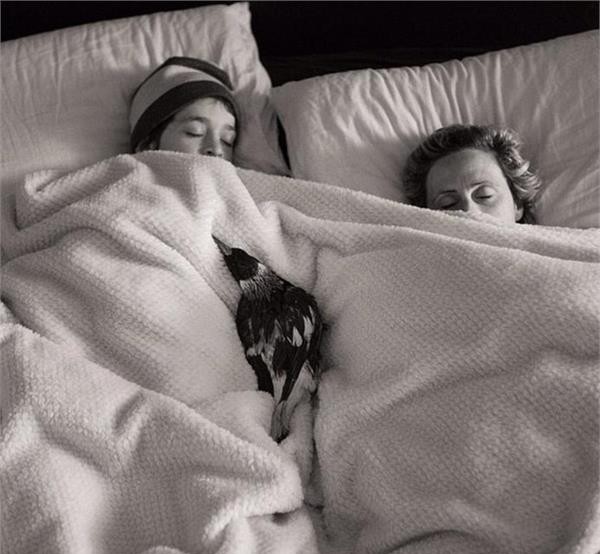 一隻跟主人同吃同睡的喜鵲 還擁有上千名冬粉