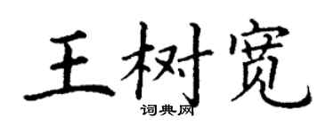 丁謙王樹寬楷書個性簽名怎么寫