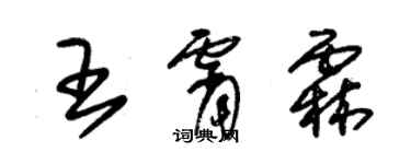 朱錫榮王霄霖草書個性簽名怎么寫