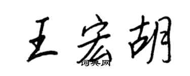 王正良王宏胡行書個性簽名怎么寫
