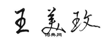 駱恆光王美玫行書個性簽名怎么寫