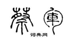 陳聲遠蔡軍篆書個性簽名怎么寫