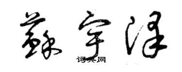 曾慶福蘇宇澤草書個性簽名怎么寫