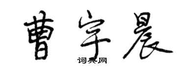 曾慶福曹宇晨行書個性簽名怎么寫