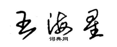 朱錫榮王海星草書個性簽名怎么寫