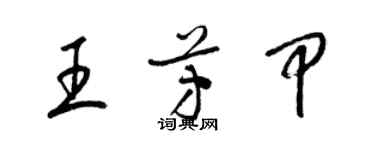 梁錦英王芳甲草書個性簽名怎么寫