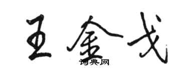 駱恆光王金戈行書個性簽名怎么寫