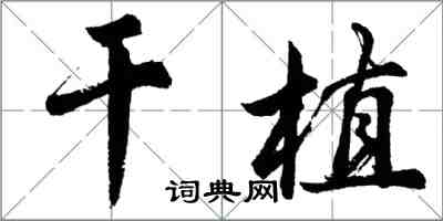 胡問遂乾植行書怎么寫